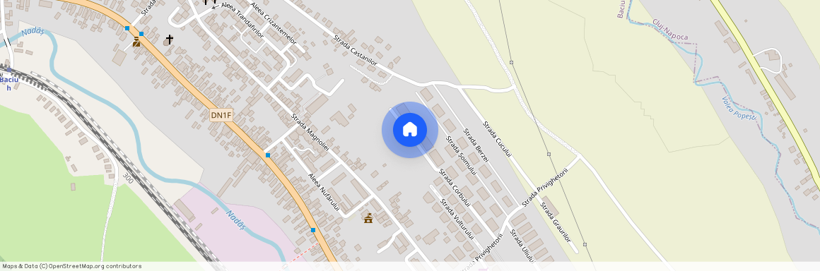 Strada Corbului, Baciu 407055