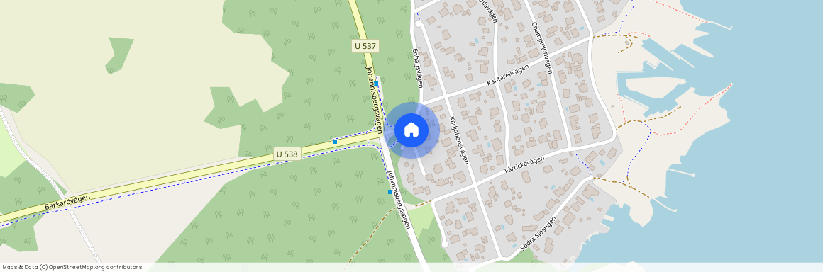 Blodriskevägen, Västerås