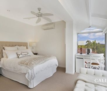 Classic terrace living in the heart of Taringa! - Photo 3