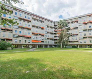 Grand 1 pièce confortable pour votre premier appartement - Foto 3