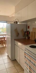 Furnished Sept sublet in Kitsilano - Photo 3