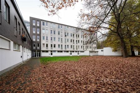 Pronájem ateliéru se sklepem ,17 m - Photo 3