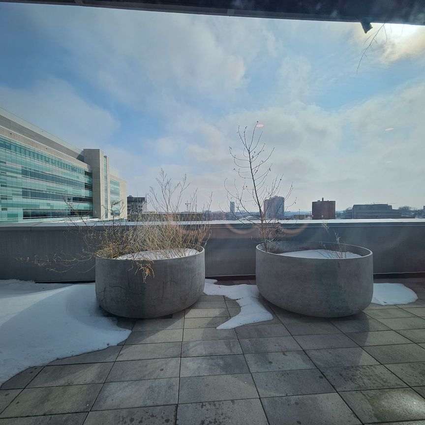 For Lease - 60 Frederick Street Unit# 3413, Kitchener, Ontario - Photo 1