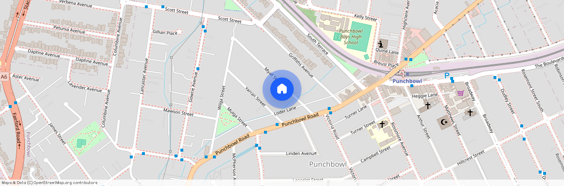 10 Myall Street, Punchbowl NSW