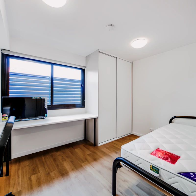 Standard Studio - Photo 1