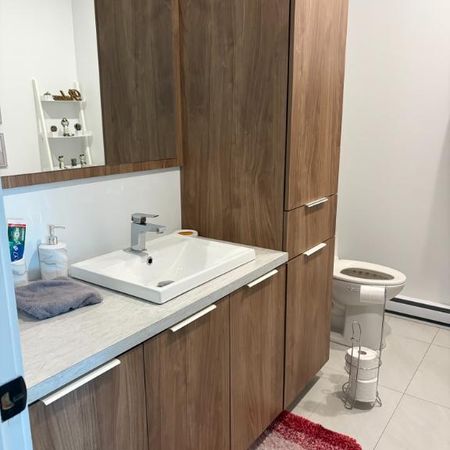 Grand 4 1/2 lumineux Cowanville - Photo 3