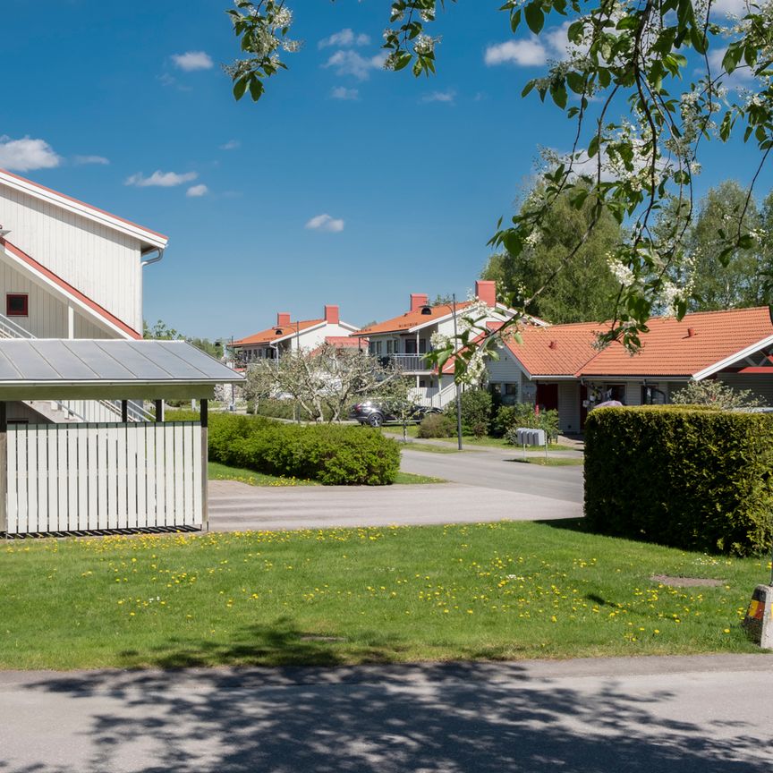 Domprostegatan 37 - Foto 1
