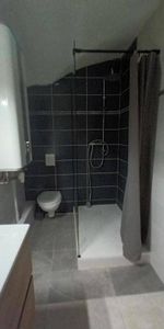 Location appartement chambre 2 pièces 29 m² à Mende (48000) - Photo 4