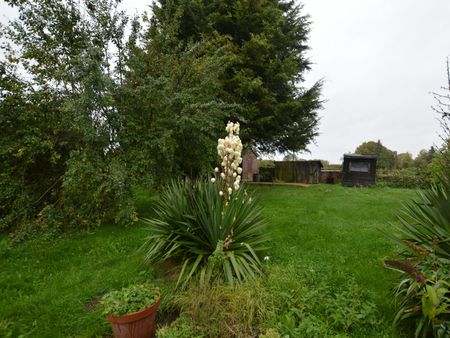 Cottage to rent on - Photo 2