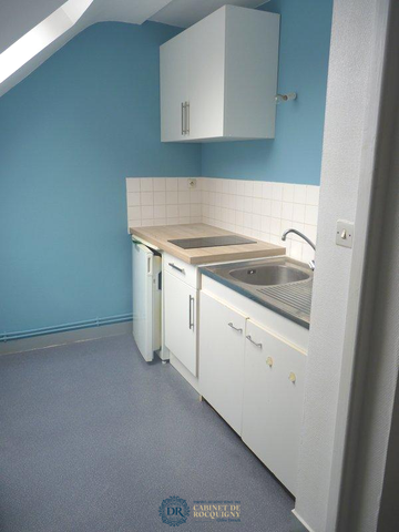 Location Appartement 1 pièce 36m² ORLEANS 45000 - Photo 3