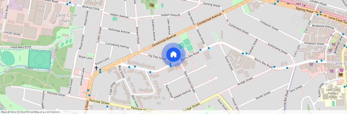 1/3 Fig Tree St, Lane Cove, NSW 2066