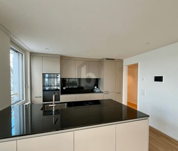 FIRST-USE: LARGE BALCONY, VIEW OF THE ÜETLIBERG - Photo 1