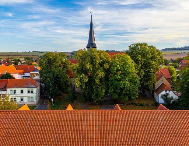 Tradition trifft Moderne – Einzigartige Wohnungen in Ermsleben (1) - Photo 1