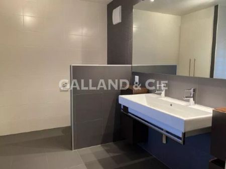 Appartement moderne de 5½ pièces avec jardin, cheminée et cave à vin - Photo 5