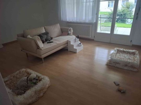 2.5 Zimmer, 60 m², EG - Photo 1