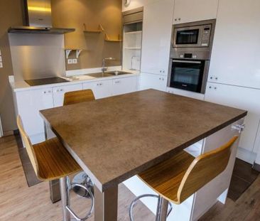 Grand appartement type 3 Tournefeuille - Photo 6