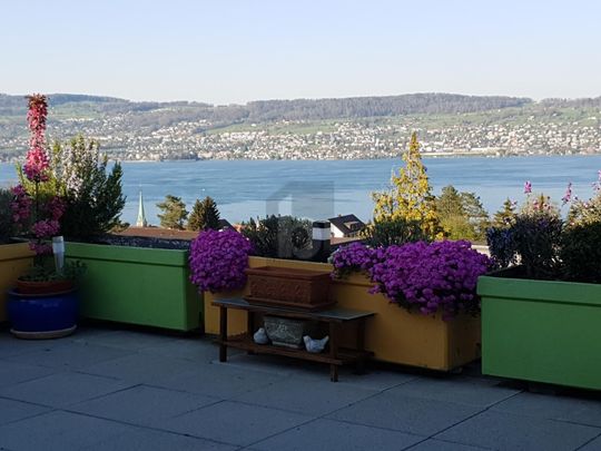 FRISCH RENOVIERT MIT WUNDERBARER AUSSICHT - Photo 1