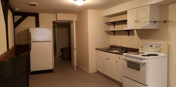 For Lease - 3446 Woodhurst Crescent Unit# bsmt, Mississauga, Ontario - Photo 2