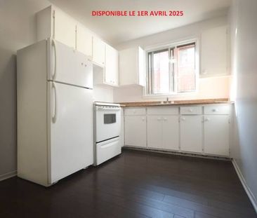 logement a louer - Photo 1