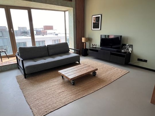 Rented: Spacious newly built, A-triple-+++ apartment with gorgeous views - Foto 1