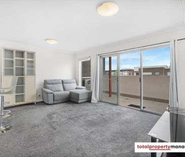 87/11 Wimmera Street, Harrison ACT 2914 - Apartment For Rent | Domain - Photo 2