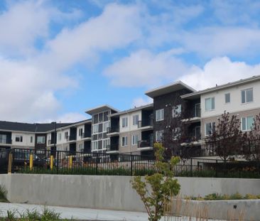 The Treo at Sherwood - Photo 3