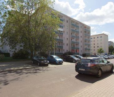 Zuhause ist es am Schönsten... - Foto 6