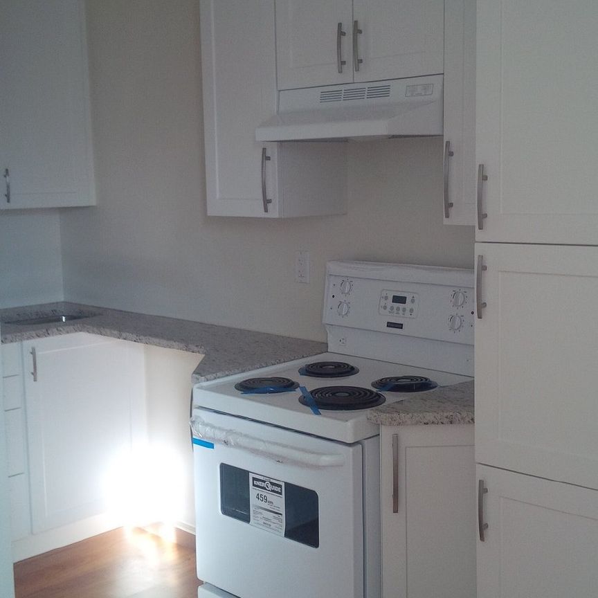 304 - 175 King Edward Avenue - Photo 1