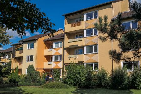 Ihr neues Zuhause: Helle Räume, hochwertiger Bodenbelag und komfortable Einbauküche - Photo 5