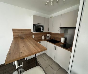 Location Appartement 1 pièce 31m² - Photo 4
