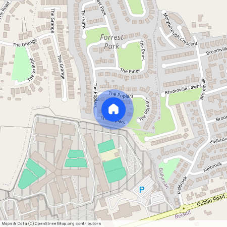 28 The Willows Forest park Portlaoise, Portlaoise, Laois, R32 P23A, R32 P23A, Dublin