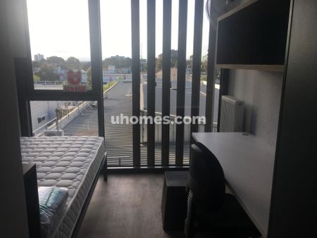 Studio Standard - Photo 3