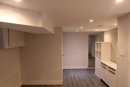 For Lease - 263 Grace Street Unit# Lower, Toronto, Ontario - Photo 2