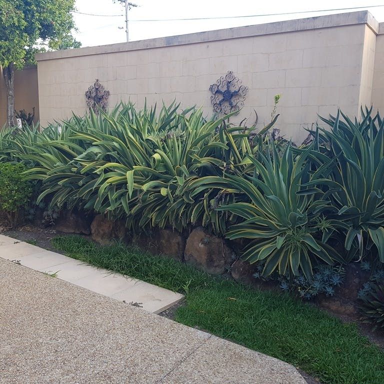 Three Bedroom Townhouse in a Secure Gated Complex - Photo 1