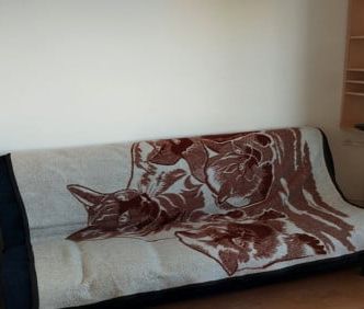 Pokój, ul. Płocka - Photo 1