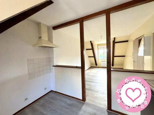 Location Appartement 1 pièce 25m² SULLY SUR LOIRE 45600 - Photo 1