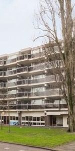 Walenburgerplein, 3039 AL Rotterdam, Nederland - Foto 4