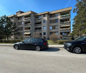 Geförderte 3-Zimmerwohnung mit Loggia in Traun/St. Martin - sehr gu... - Photo 2