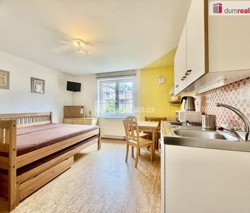 Pronájem bytu 1+kk 25 m² - Photo 1