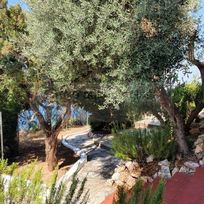 Μονοκατοικία για ενοικίαση Σαρωνίδα - Photo 1