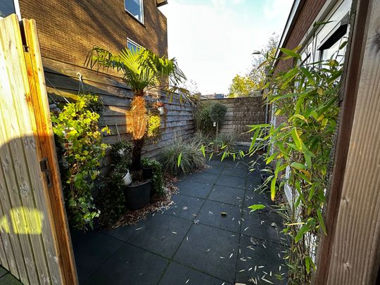 Omschrijving - Photo 1