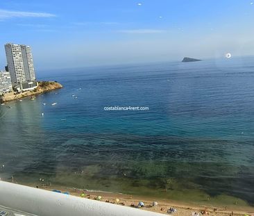 Fist line beach Benidorm, Levante - Photo 3
