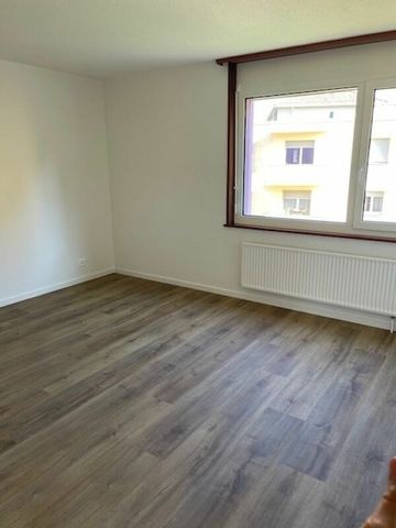 Chemin des Carabiniers 1, 4.5 rooms on the 4th North renovated - Photo 4