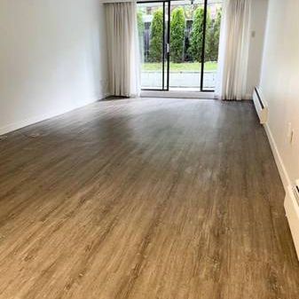 Large 1bedroim w/patio - Photo 1