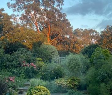 Bright Double Room with Private Bathroom in Charming Home – East Du... - Photo 6