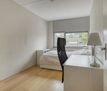 Maison familiale Reinier Langhalsstraat, Maastricht - À louer - Photo 5