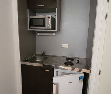 Location Appartement 1 pièce 24m² - Photo 3