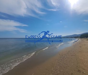 Μονοκατοικία για ενοικίαση Άγιος Παντελεήμονας (Μαραθώνας) - Photo 4