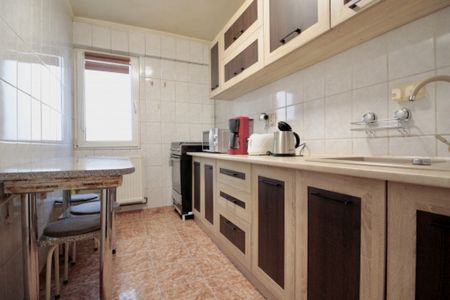 DRUMUL TABEREI-TIMISOARA, APARTAMENT MOBILAT, UTILAT COMPLET - Fotografie 5