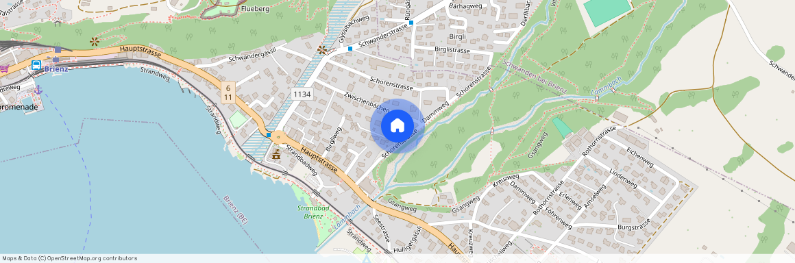 Zwischenbächen 7d, 3855 Brienz BE